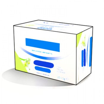 alimentacion-infantil-complementos-alimenticios